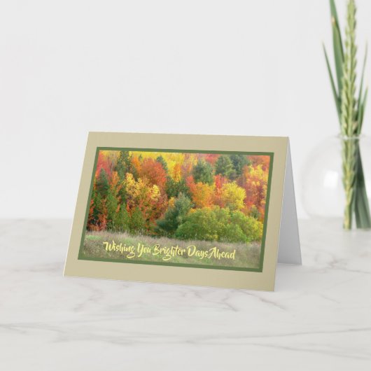 秋の色で咲き誇る丘の中腹 カード (正面)