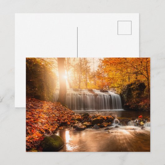 秋の色で ポストカード (正面/裏面)