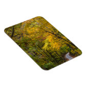 秋の色に囲まれた小さな砂利道 マグネット (右側)