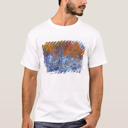 秋の色に染まるアスペンの木々、ビッグホーン山脈、 Tシャツ (正面)