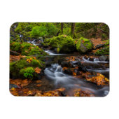 秋の色に沿ってスタベリークリーク秋 マグネット (横)