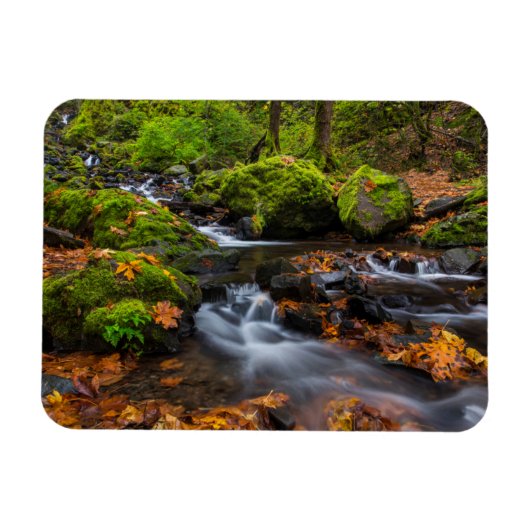 秋の色に沿ってスタベリークリーク秋 マグネット (横)