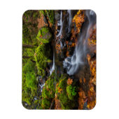 秋の色に沿ってスタベリークリーク秋 マグネット (縦)