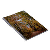 秋の色のキャノピー ノートブック (右側)