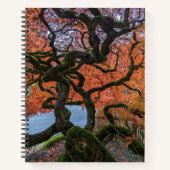 秋の色のニャーリ日本のカエデ ノートブック (正面)
