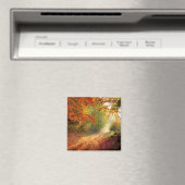 秋の色の変更 マグネット (インサイチュ (食洗機))