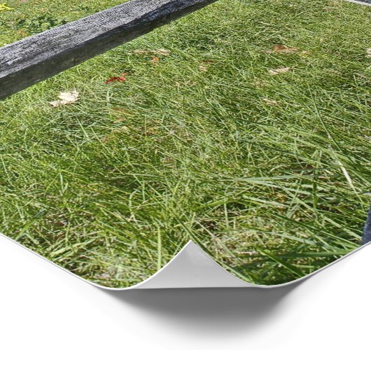 秋の色の赤いカエデの木、コンコードの近く、2 ポスター (角)