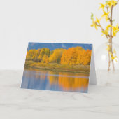 秋の色の《植物》アスペン カード (黄色い花)