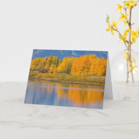 秋の色の《植物》アスペン カード (黄色い花)