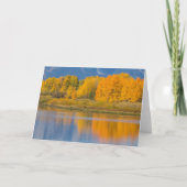 秋の色の《植物》アスペン カード (正面)