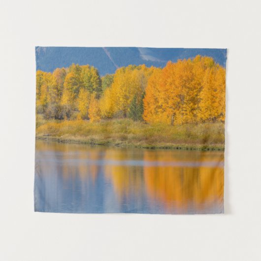 秋の色の《植物》アスペン タペストリー (正面(横))