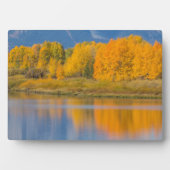 秋の色の《植物》アスペン フォトプラーク (正面)
