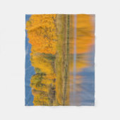 秋の色の《植物》アスペン フリースブランケット (正面)