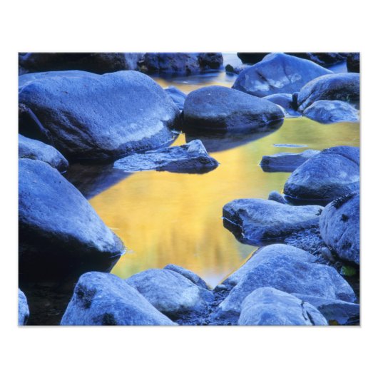 秋の色は水たまりの池に映る。 フォトプリント (正面)