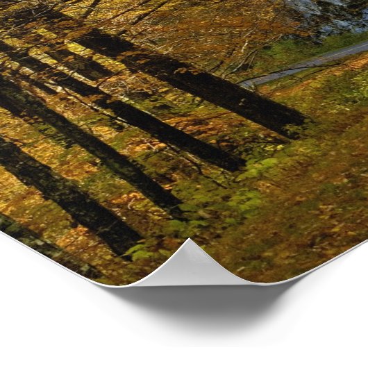 秋の色を楽しむブルーリッジパークウェイ ポスター (角)