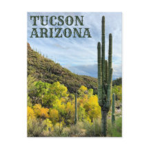 秋の色サグアーロサビノキャニオン