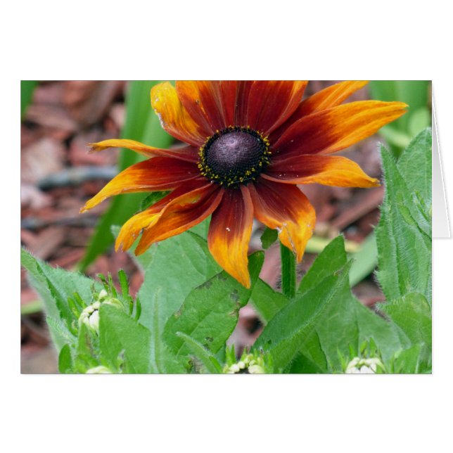 秋の色 (正面横)