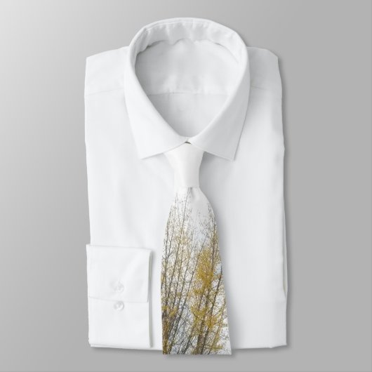 "秋の色"のタイ ネクタイ (タイ)