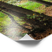 秋の色 フォトプリント            (角)