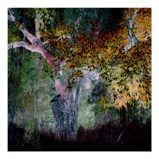 秋の色….. ポスター (正面)