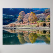 秋の色 ポスター (正面)