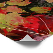 秋の色 ポスター (角)