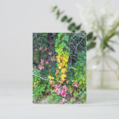 秋の色 ポストカード (スタンド正面)