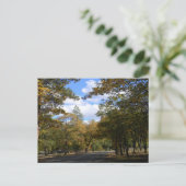 秋の色…ポストカード ポストカード (スタンド正面)