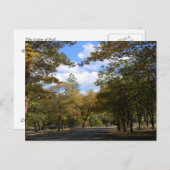 秋の色…ポストカード ポストカード (正面/裏面)