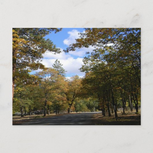 秋の色…ポストカード ポストカード (正面)