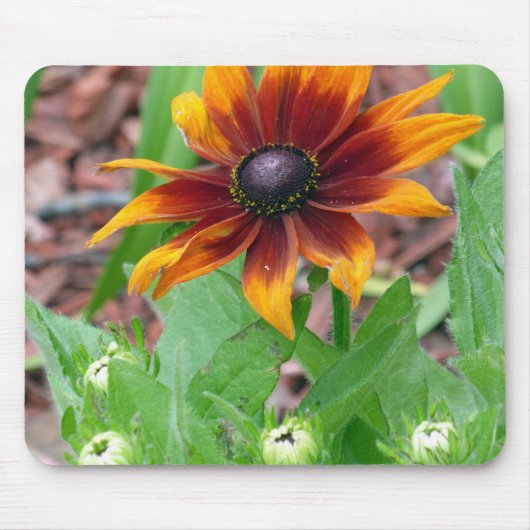 秋の色 マウスパッド (正面)