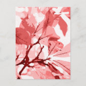 秋の色、葉3 シーズンポストカード (正面)