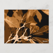 秋の色、葉6 ポストカード (裏面)