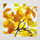 秋の色、葉 ポストカード (正面/裏面)