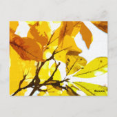 秋の色、葉 ポストカード (裏面)