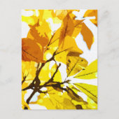 秋の色、葉 ポストカード (正面)