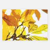 秋の色、葉 ラッピングペーパーシート (正面3)