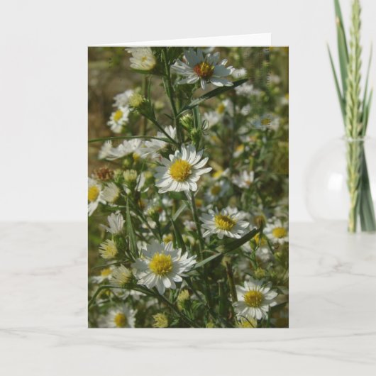 秋の花すべての行事 カード (正面)