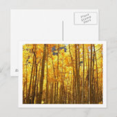 秋の花開 ポストカード (正面/裏面)