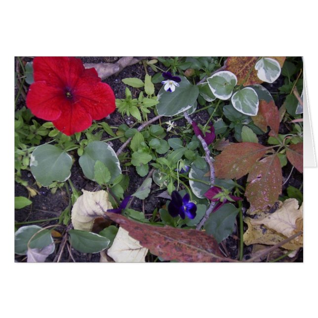 秋の花 (正面横)