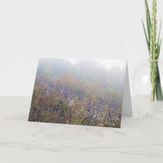 秋の花 カード (正面)