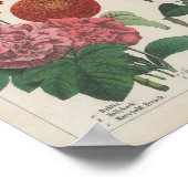 秋の花 | シャーロッテメアリーヨンゲ ポスター (角)