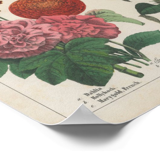 秋の花 | シャーロッテメアリーヨンゲ ポスター (角)