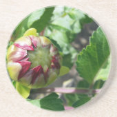 秋の芽 コースター (正面)