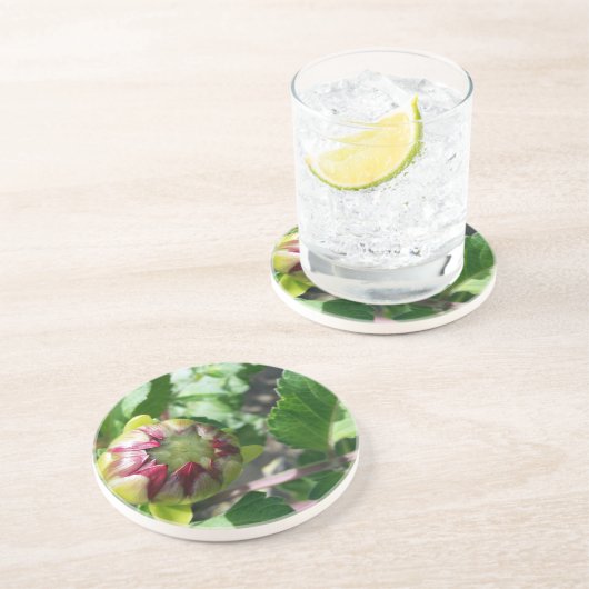 秋の芽 コースター (側面)