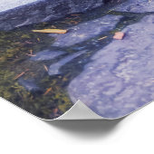 秋の苔むした森の石道 ポスター (角)
