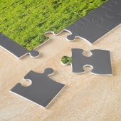 秋の草で牧草を食べているギャロウェーベルトを付けられた牛 ジグソーパズル (側面)