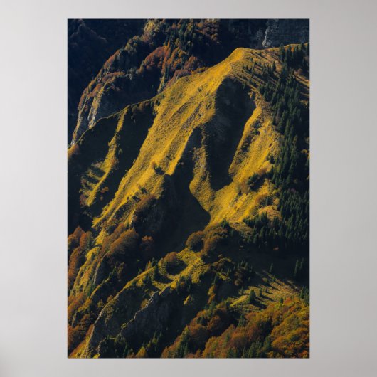 秋の草原に覆われた山 ポスター (正面)