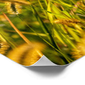 秋の草 ポスター (角)