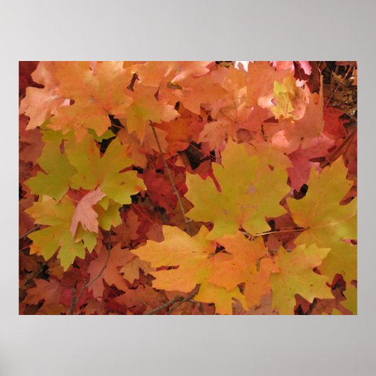 秋の華やかなポスター(1) ポスター (正面)